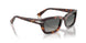 24/71 - Tortoise - Light Grey Gradient Dark Grey