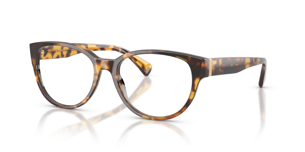 5134 - Tortoise