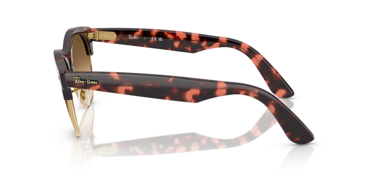 143251 - Havana - Clear Gradient Brown