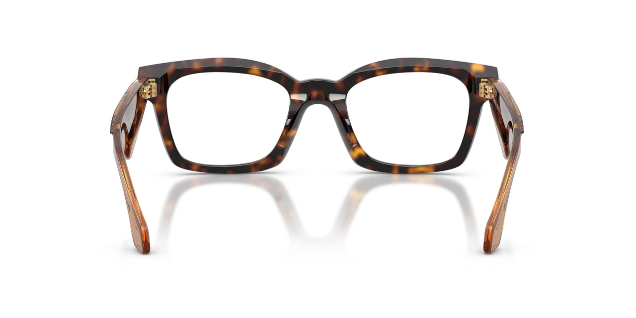 5026 - Tortoise