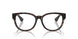 3002 - Brown