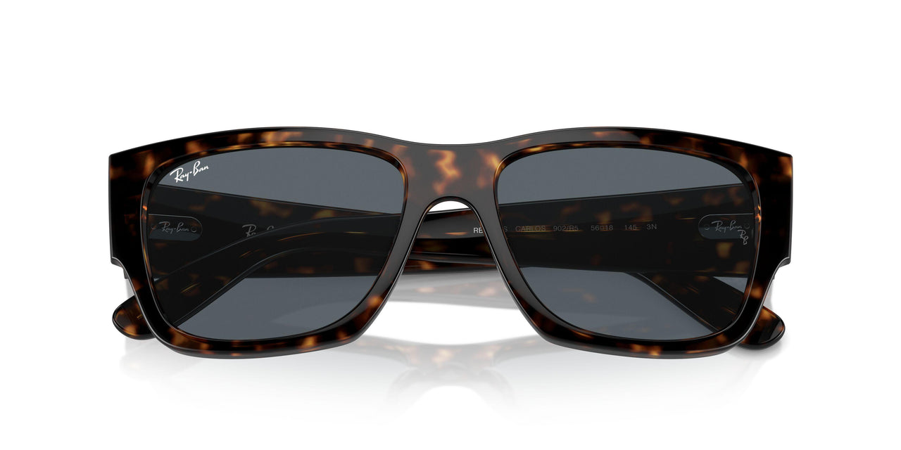 902/R5 - Tortoise - Blue