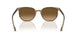 1439M2 - Green - Polarized Brown Gradient