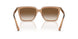 507613 - Brown - Gradient Brown