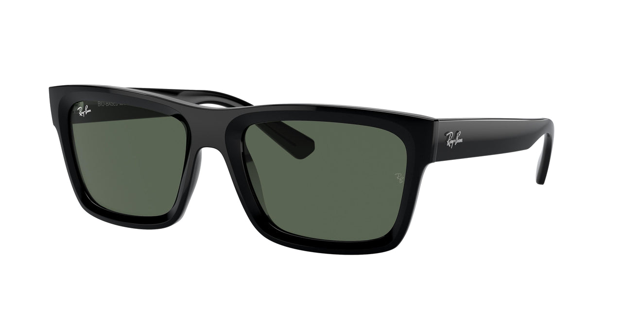 Ray-Ban Warren 4396 Sunglasses
