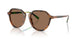 608973 - Red - Dark Brown