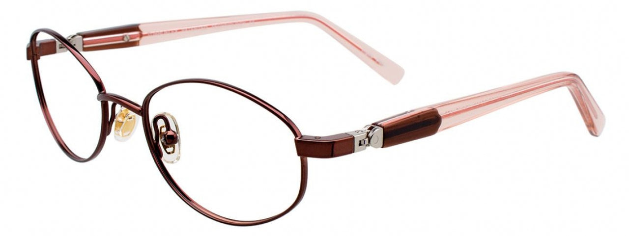 10 - Shiny Dark Brown
