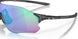 931305 - Matte Steel - Prizm Golf