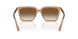 507613 - Brown - Brown Gradient