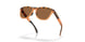 950308 - Brown - Prizm Bronze