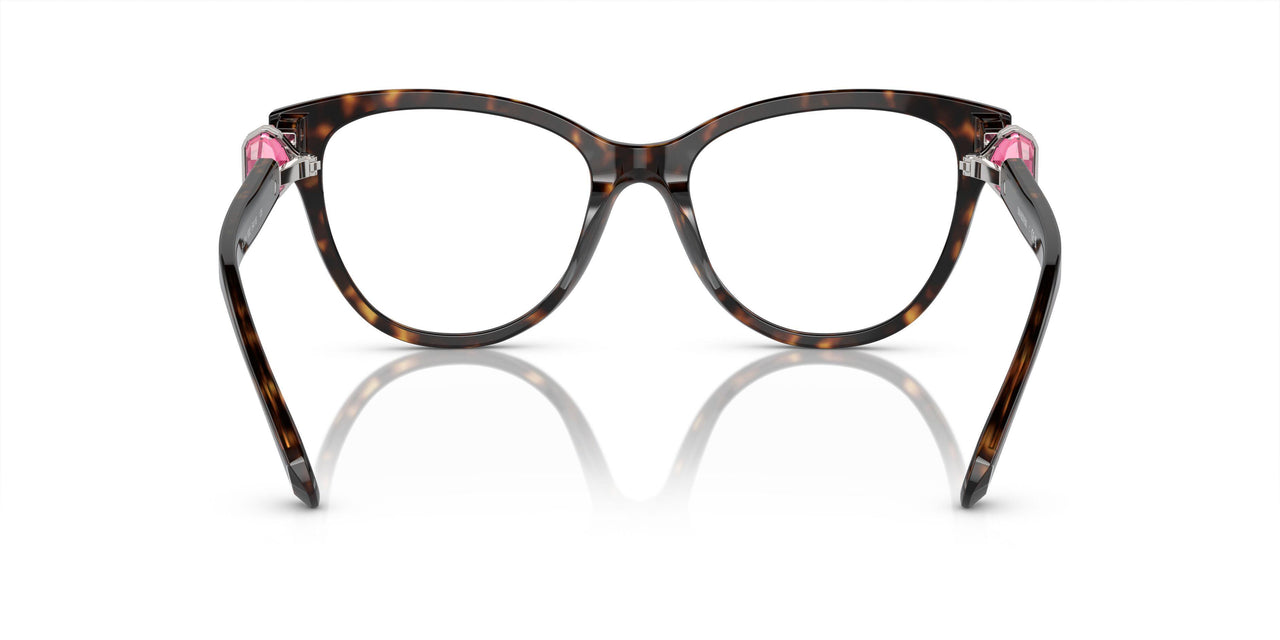 1002 - Brown