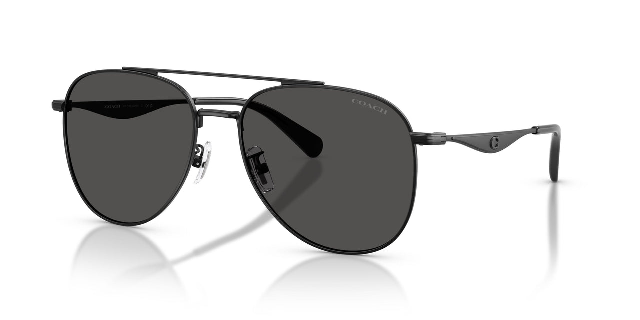 Coach Cdp40 7190 Sunglasses