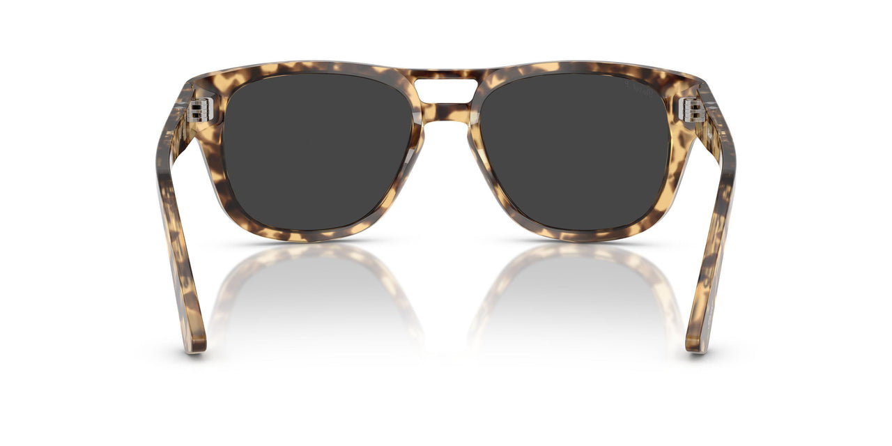 105648 - Tortoise - Polar Black