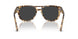 105648 - Tortoise - Polar Black
