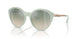 8160W0 - Blue - Gradient Green Mirror Silver