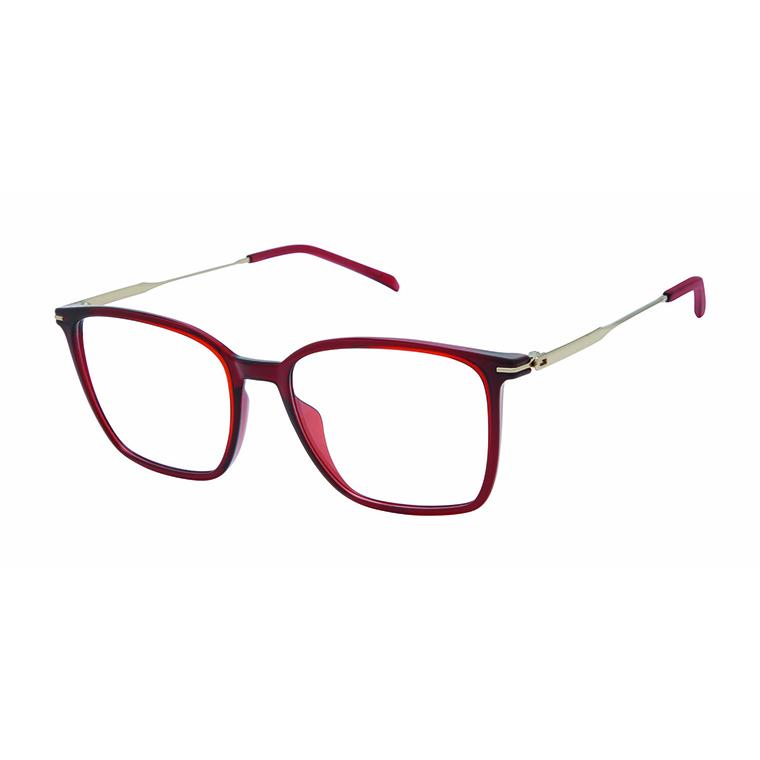 Charmant Japanese Made JM41511 Eyeglasses