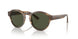 590058 - Brown - Green