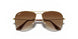 223/13 - Gold - Brown Gradient