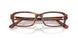 2144 - Brown - Demo Bio