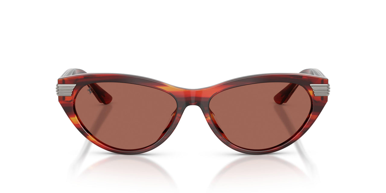 753/H2 - Tortoise - Brown