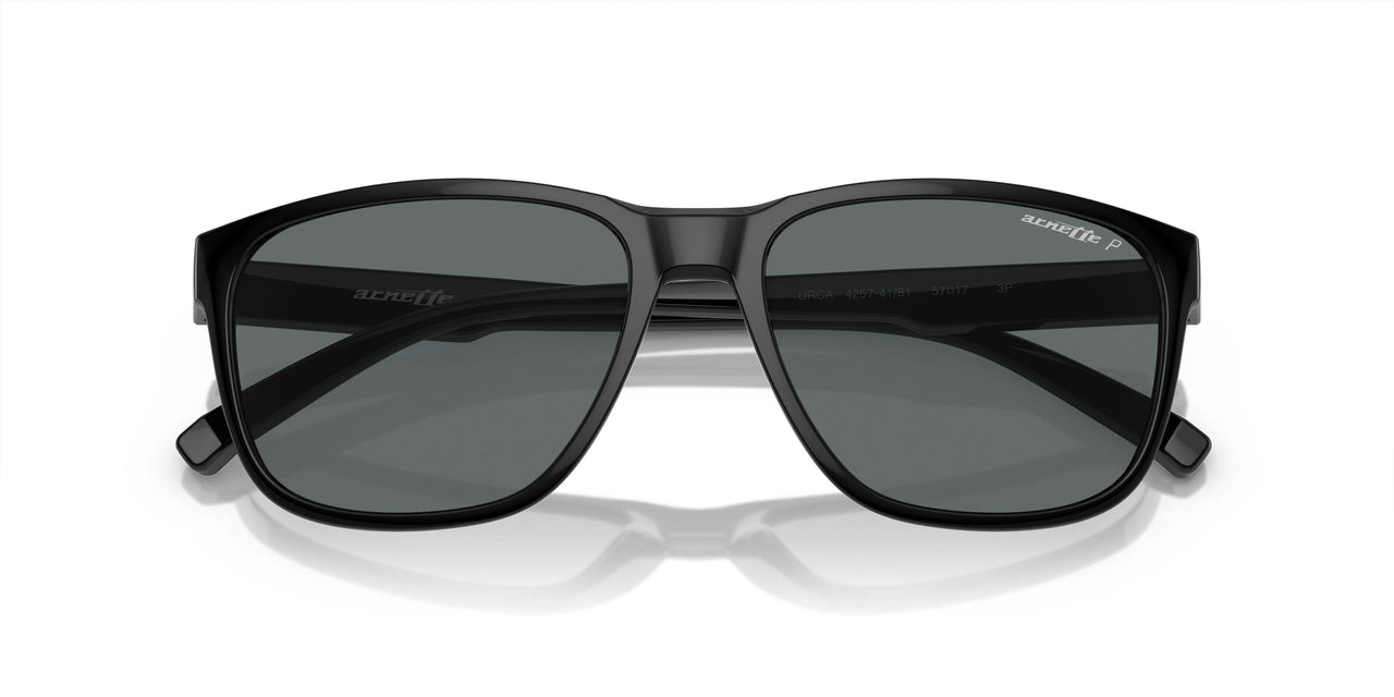 41/81 - Black - Polar Grey