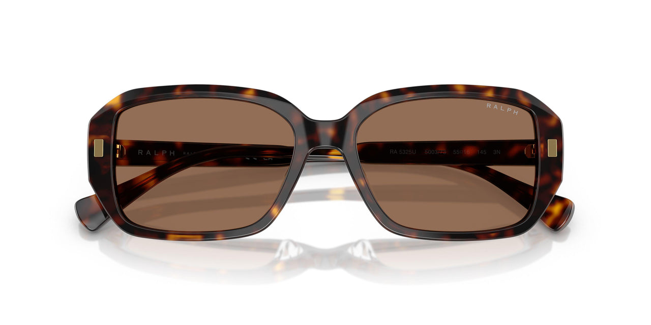 500373 - Tortoise - Brown