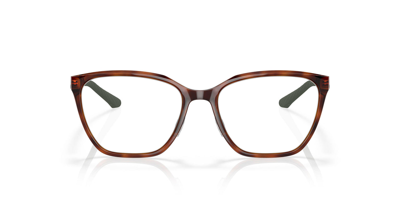 801302 - Tortoise