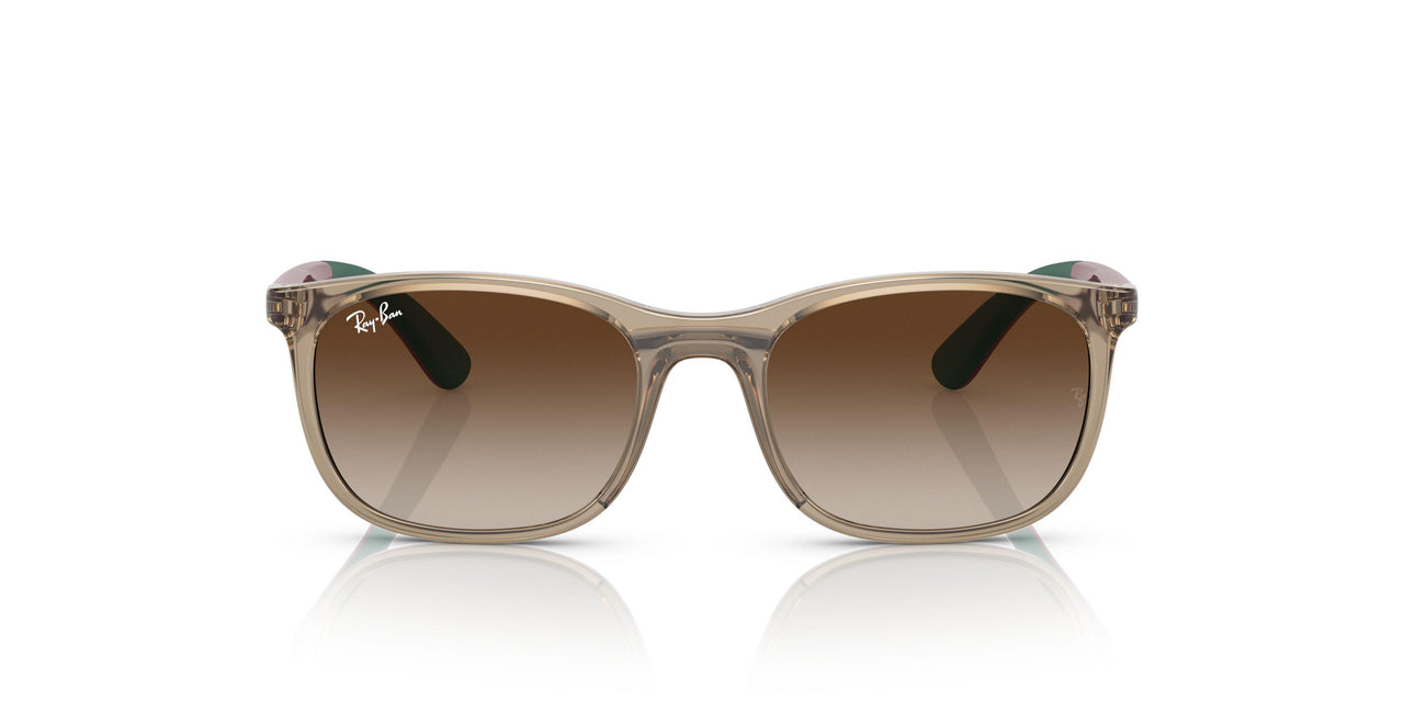 712313 - Light Brown - Brown Gradient
