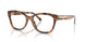 6089 - Tortoise
