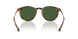 500371 - Red - Dark Green