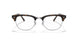 2012 - Brown - Clear