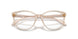 2884 - Brown