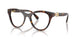1002 - Brown