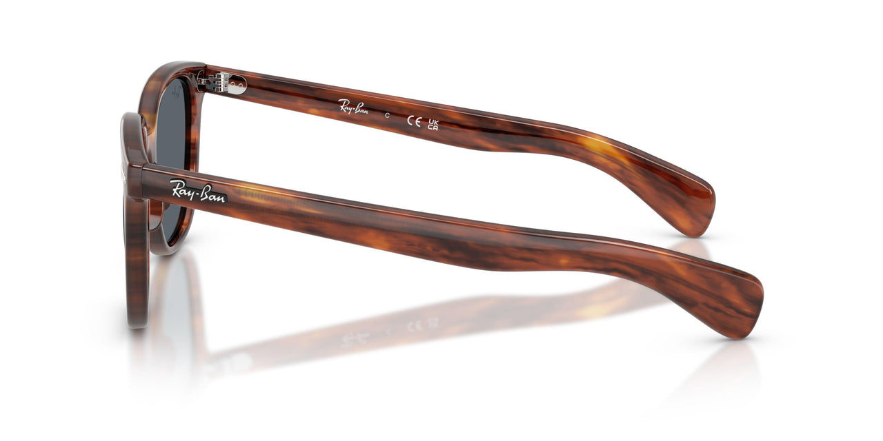 954/R5 - Brown - Blue