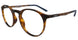C2 - Mat Tortoise