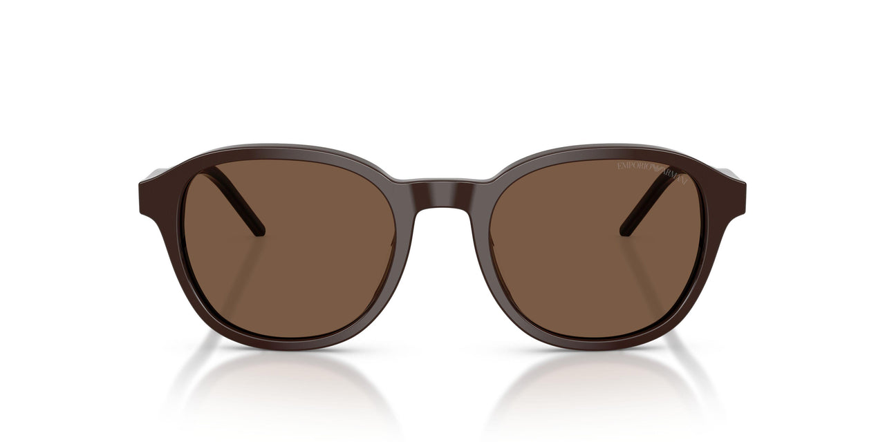 625573 - Brown - Brown