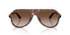 300613 - Tortoise - Smoke Gradient
