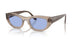 318172 - Brown - Blue