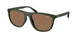 Polo 4231U Sunglasses