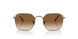004/51 - Gunmetal - Clear Gradient Brown
