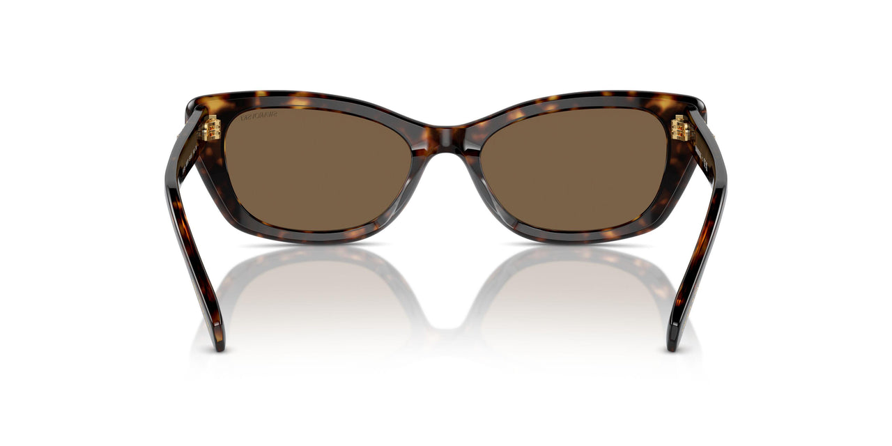 100273 - Tortoise - Dark Brown