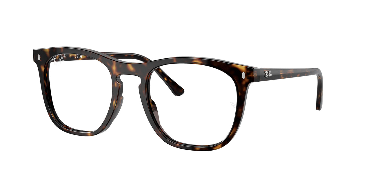 Ray-Ban 2210VF Eyeglasses