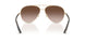 300613 - Gold - Brown Gradient