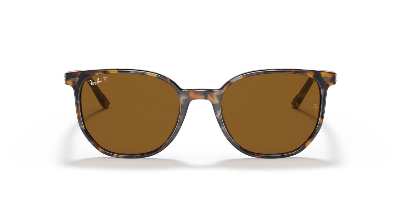 135757 - Havana - Brown Polar