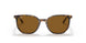 135757 - Havana - Brown Polar