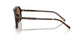 502/73 - Tortoise - Dark Brown