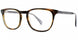 Adrienne Vittadini 6021 Eyeglasses