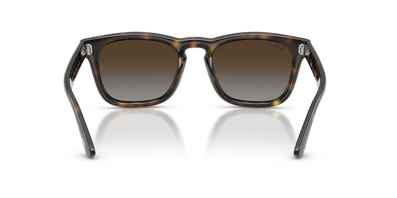 710/T5 - Tortoise - Polarized Light Grey Gradient Brow