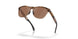 950302 - Brown - Prizm Tungsten Polarized