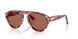 1220H2 - Multicolor - Brown